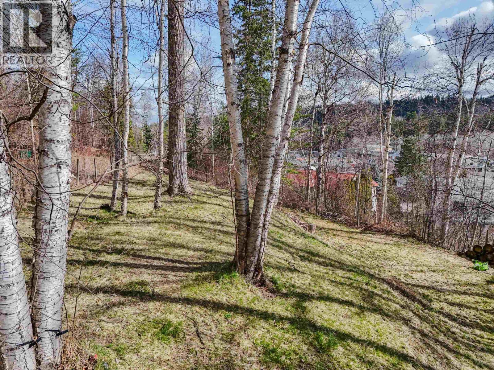 120 Lindsay Street, Quesnel, British Columbia  V2J 3E3 - Photo 36 - R3132761