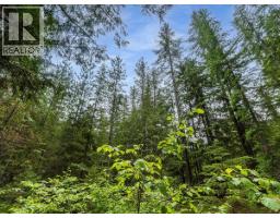 Claybrick Road Lot# 15, Winlaw, British Columbia