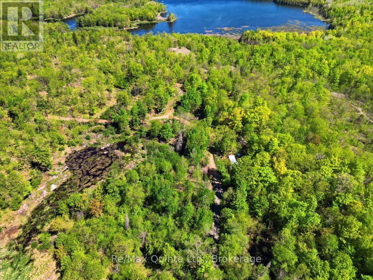 104577 Hwy 7 Highway, Marmora And Lake, Ontario  K0K 2K0 - Photo 11 - X13410704