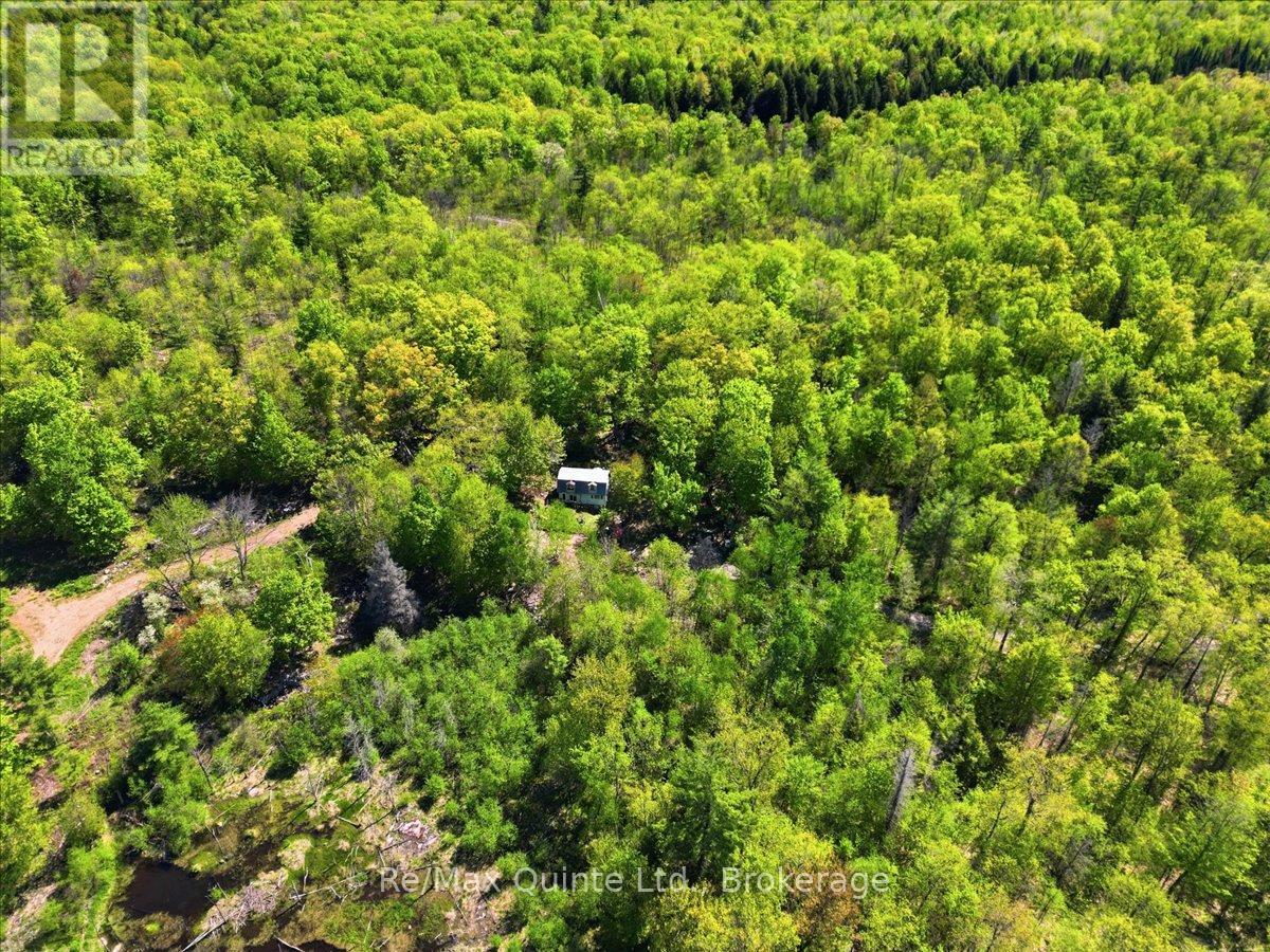 104577 Hwy 7 Highway, Marmora And Lake, Ontario  K0K 2K0 - Photo 12 - X13410704