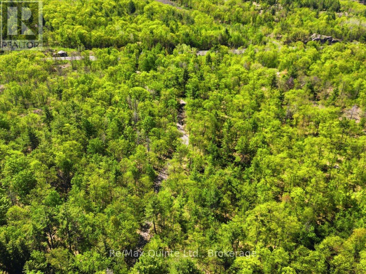 104577 Hwy 7 Highway, Marmora And Lake, Ontario  K0K 2K0 - Photo 13 - X13410704