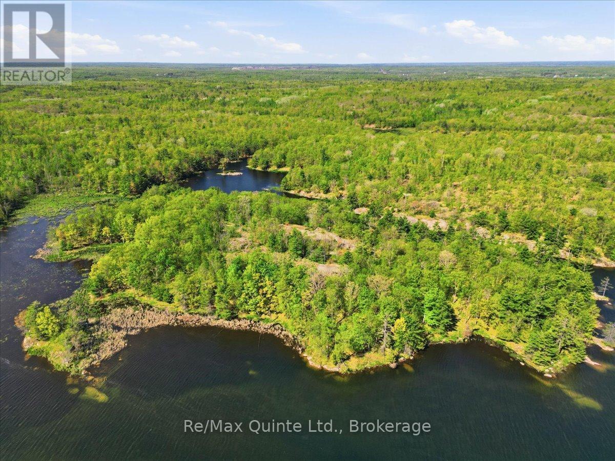 104577 Hwy 7 Highway, Marmora And Lake, Ontario  K0K 2K0 - Photo 2 - X13410704