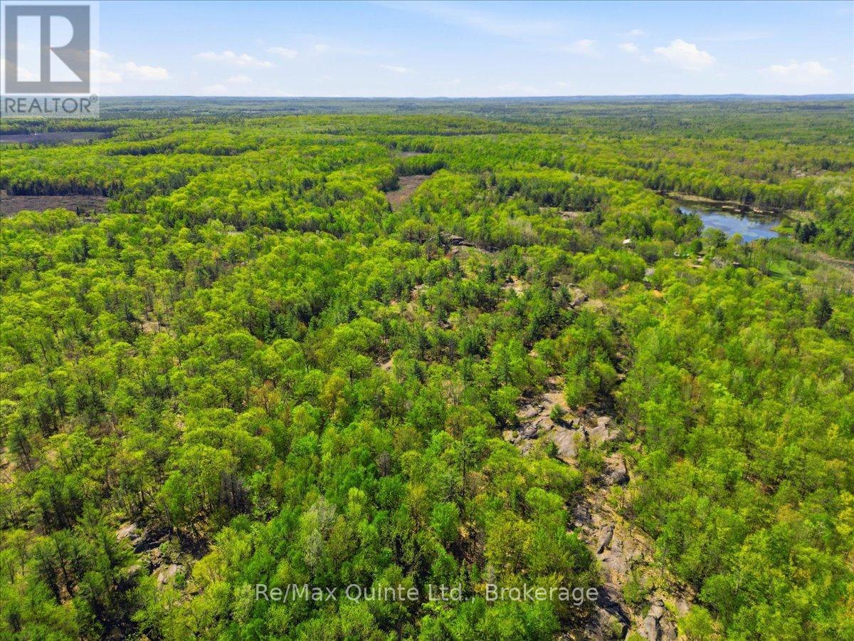 104577 Hwy 7 Highway, Marmora And Lake, Ontario  K0K 2K0 - Photo 4 - X13410704
