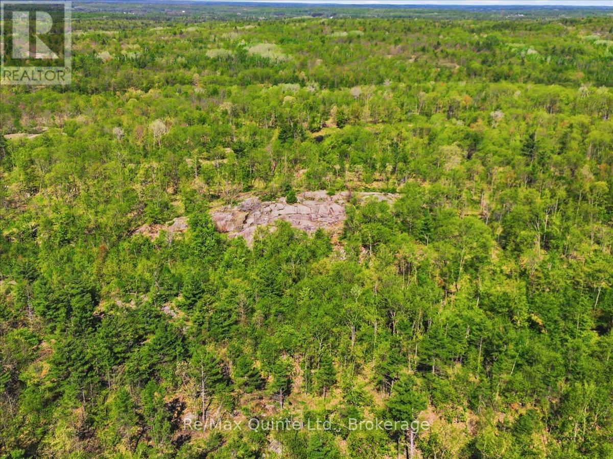 104577 Hwy 7 Highway, Marmora And Lake, Ontario  K0K 2K0 - Photo 6 - X13410704