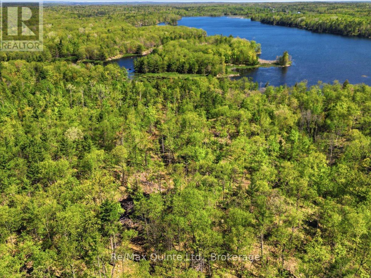 104577 Hwy 7 Highway, Marmora And Lake, Ontario  K0K 2K0 - Photo 7 - X13410704