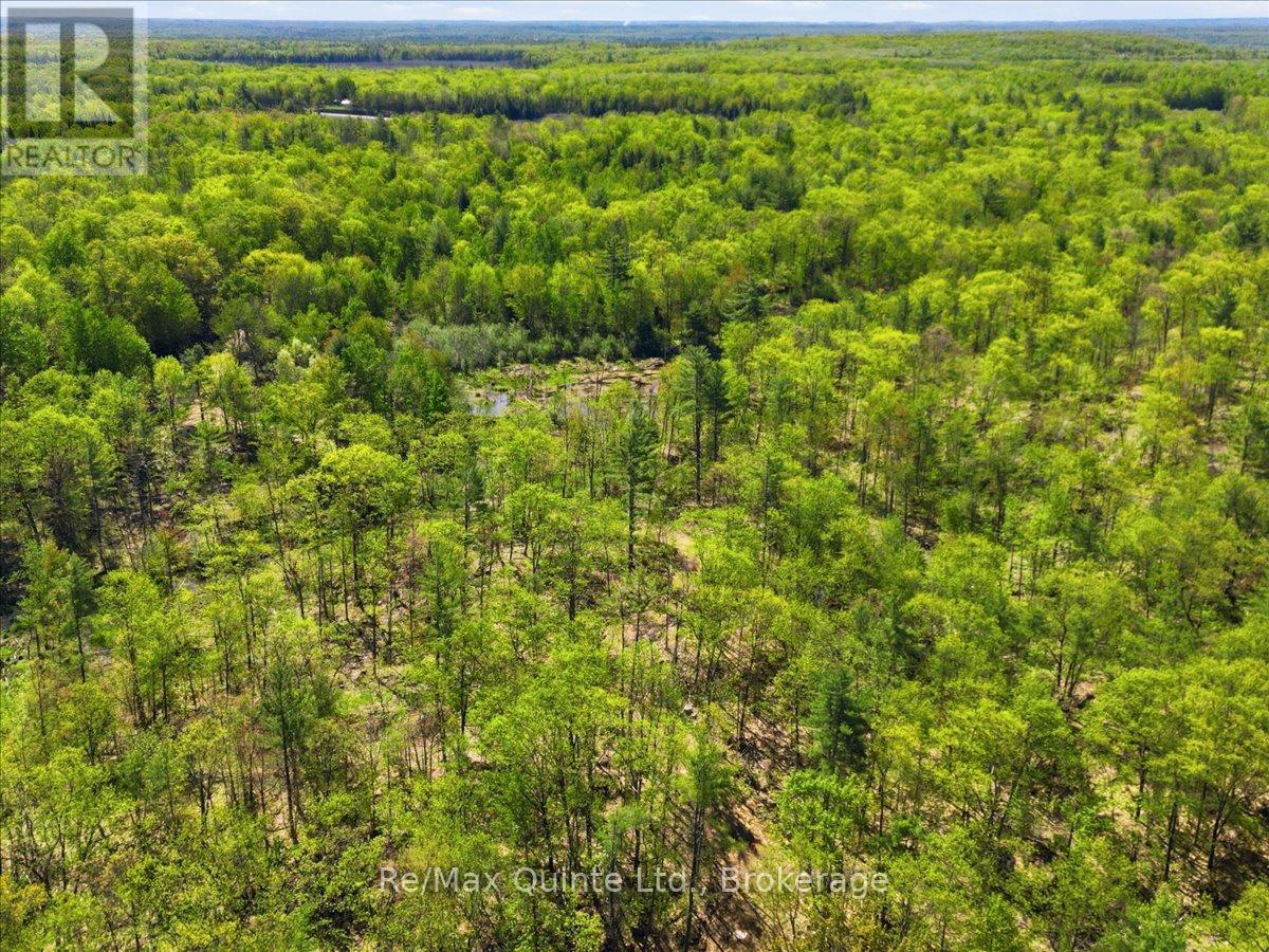104577 Hwy 7 Highway, Marmora And Lake, Ontario  K0K 2K0 - Photo 8 - X13410704