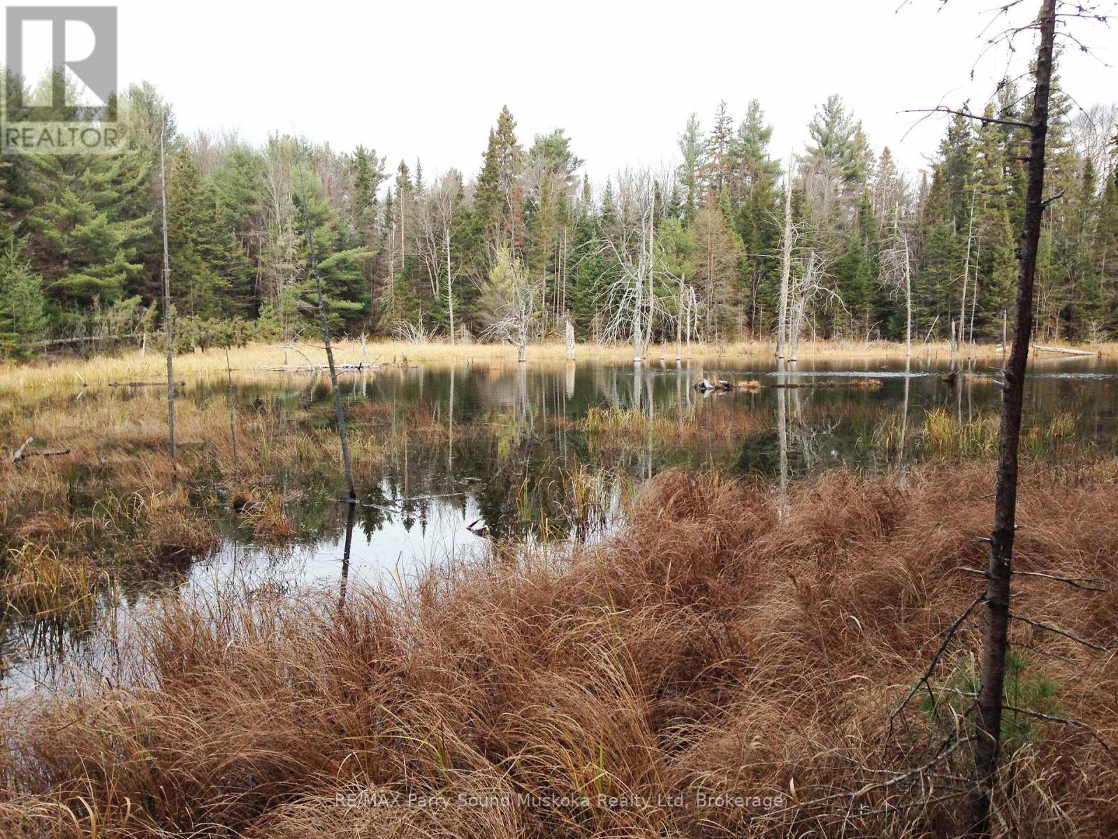 Lot 6 Con 5, Magnetawan, Ontario P0A 1P0 - Photo 1 - X13410060