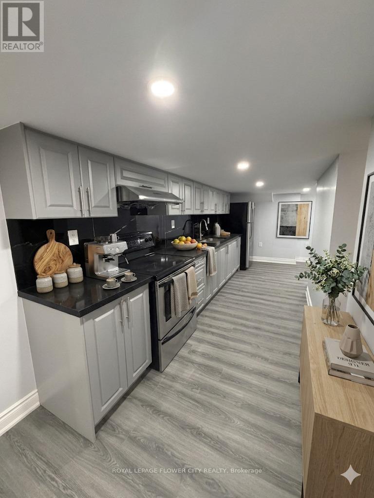 30 Woodward Avenue, London North, Ontario  N6H 2G7 - Photo 4 - X13219498
