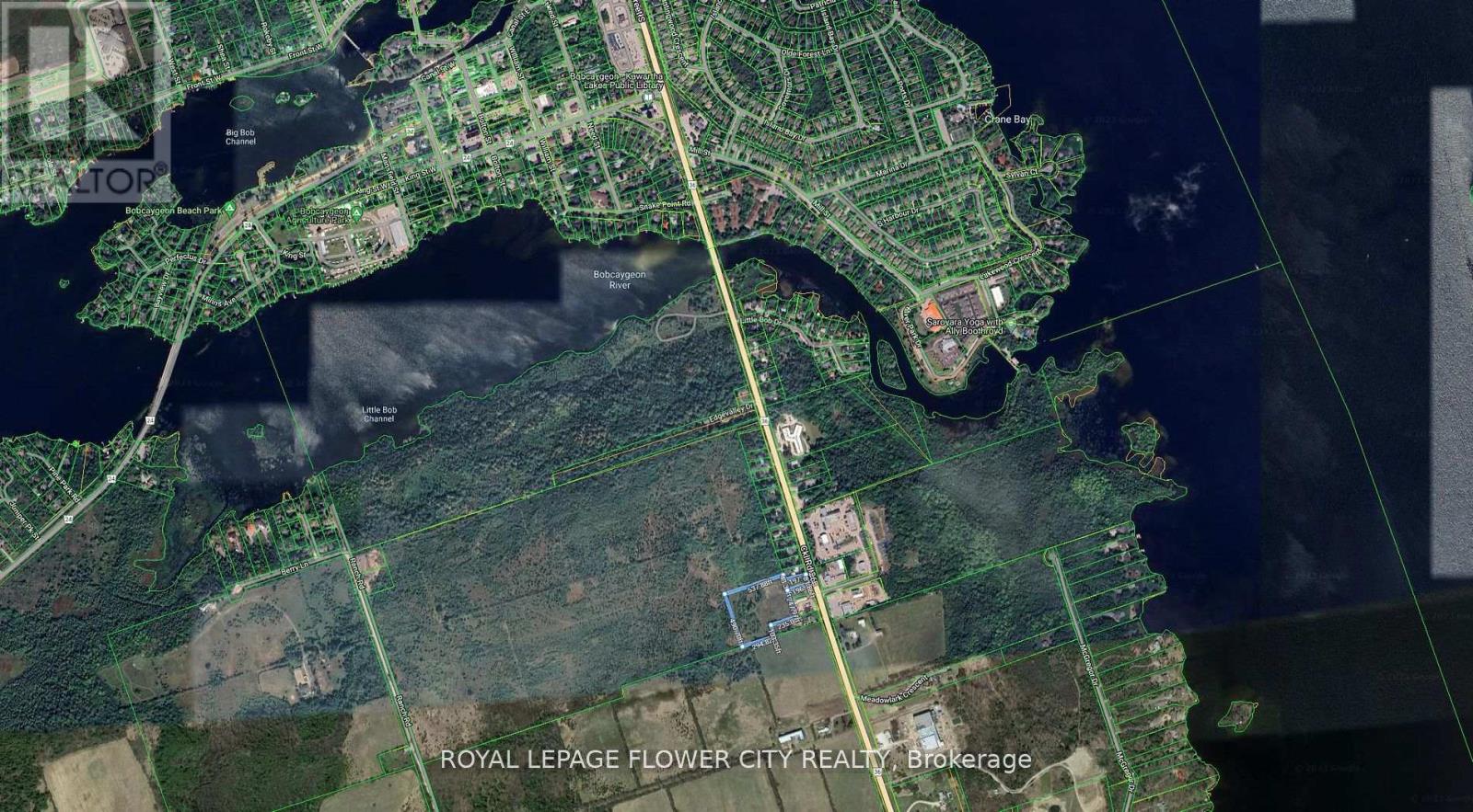 3381 Highway 36, Kawartha Lakes, Ontario  K0M 1A0 - Photo 3 - X13410988