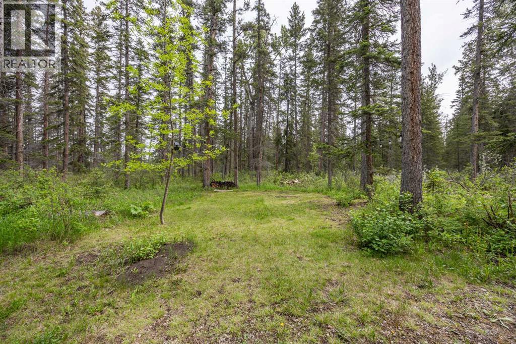 138, 4042 Highway 587, Rural Red Deer County, Alberta  T0M 0K0 - Photo 12 - A2318036