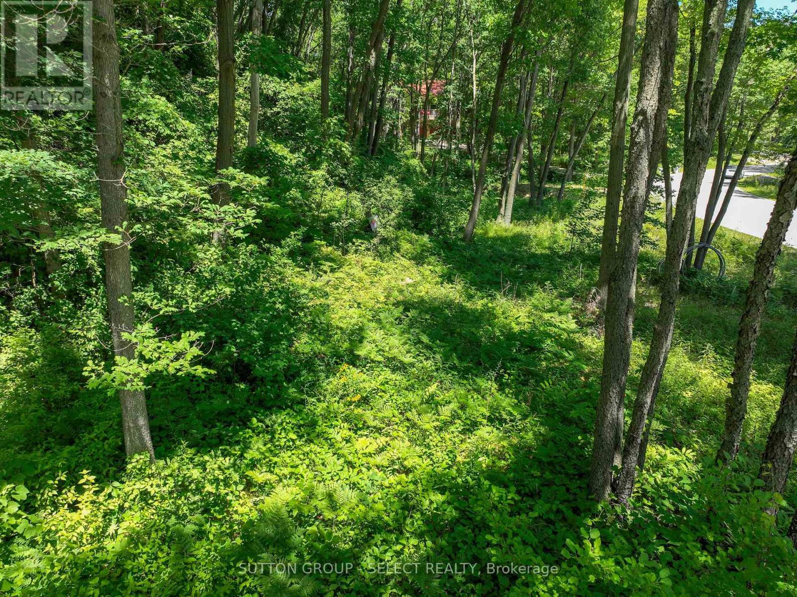 10096 Pinery Bluffs Rd, Lot 3 Road, Lambton Shores, Ontario  N0M 1T0 - Photo 8 - X13411278