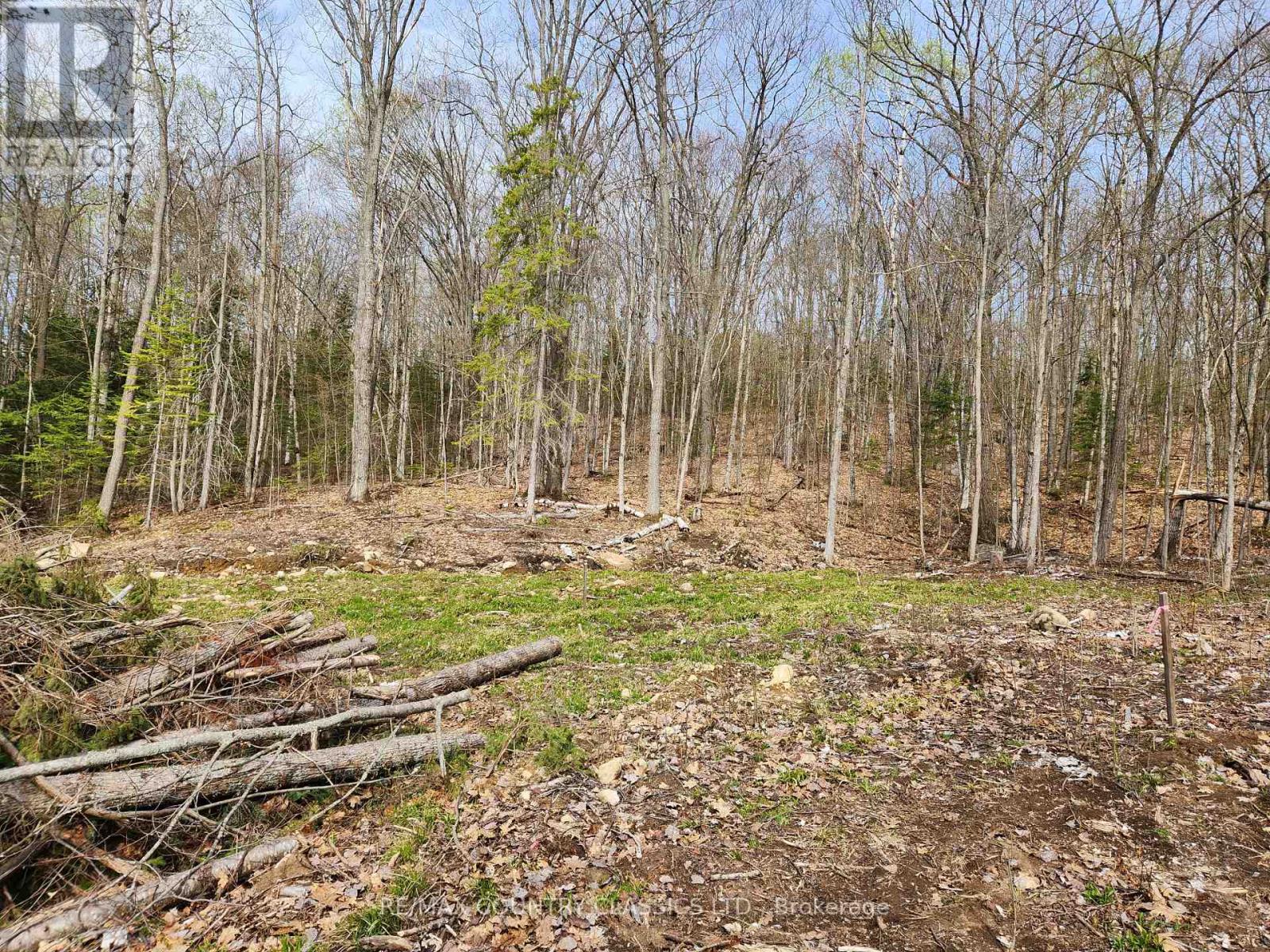 790 Mitchell Road, Madawaska Valley, Ontario  K0J 1B0 - Photo 10 - X13411320