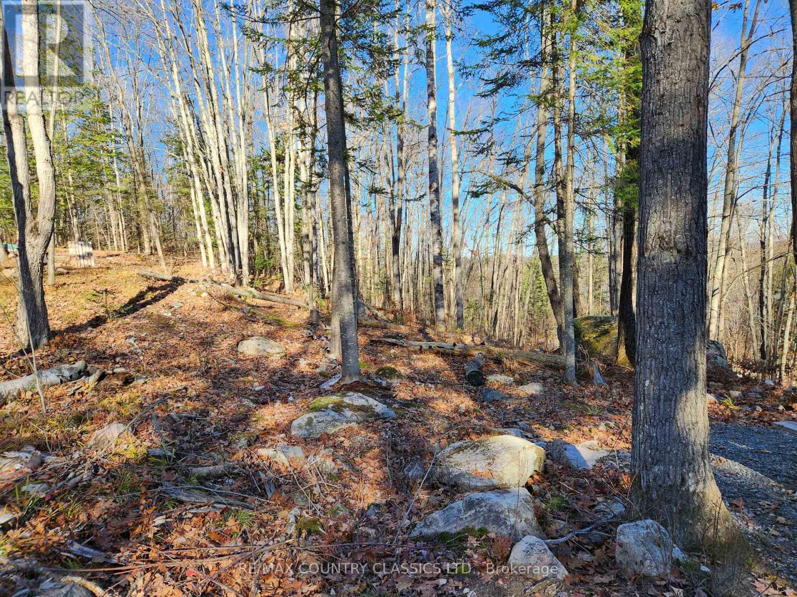 790 Mitchell Road, Madawaska Valley, Ontario  K0J 1B0 - Photo 11 - X13411320