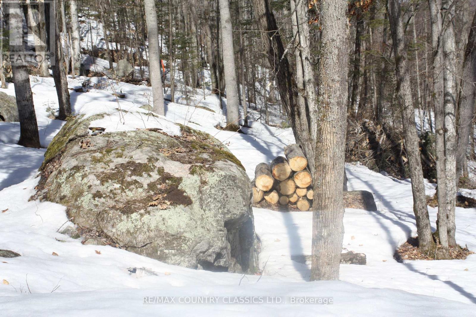 790 Mitchell Road, Madawaska Valley, Ontario  K0J 1B0 - Photo 12 - X13411320
