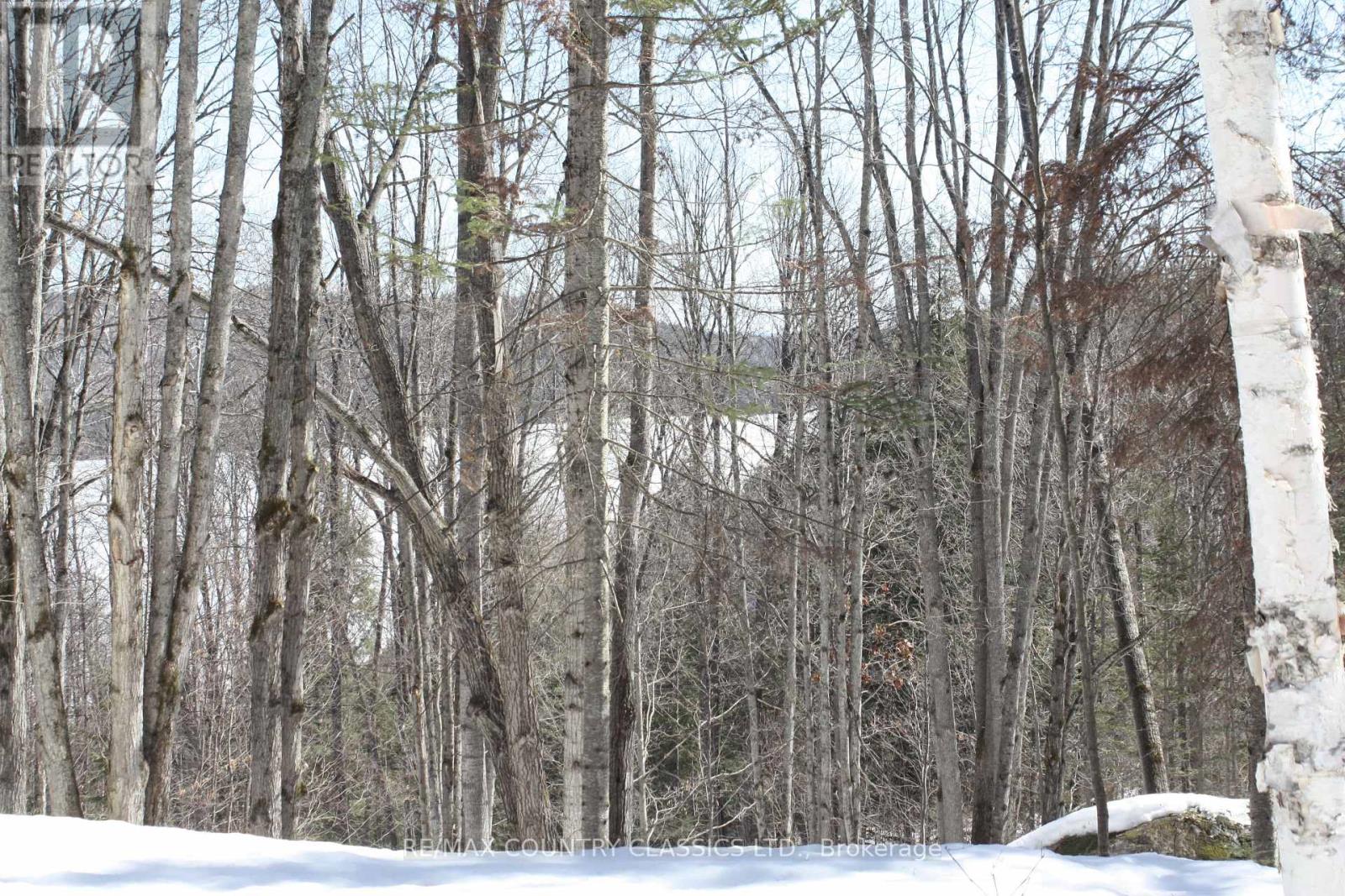 790 Mitchell Road, Madawaska Valley, Ontario  K0J 1B0 - Photo 13 - X13411320
