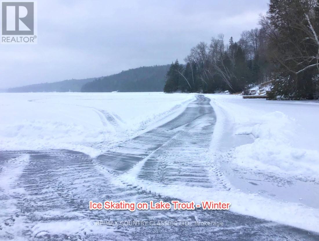 790 Mitchell Road, Madawaska Valley, Ontario  K0J 1B0 - Photo 17 - X13411320