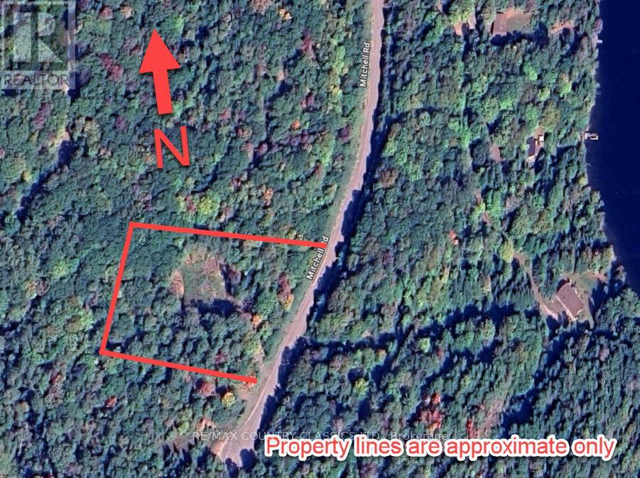 790 Mitchell Road, Madawaska Valley, Ontario  K0J 1B0 - Photo 4 - X13411320