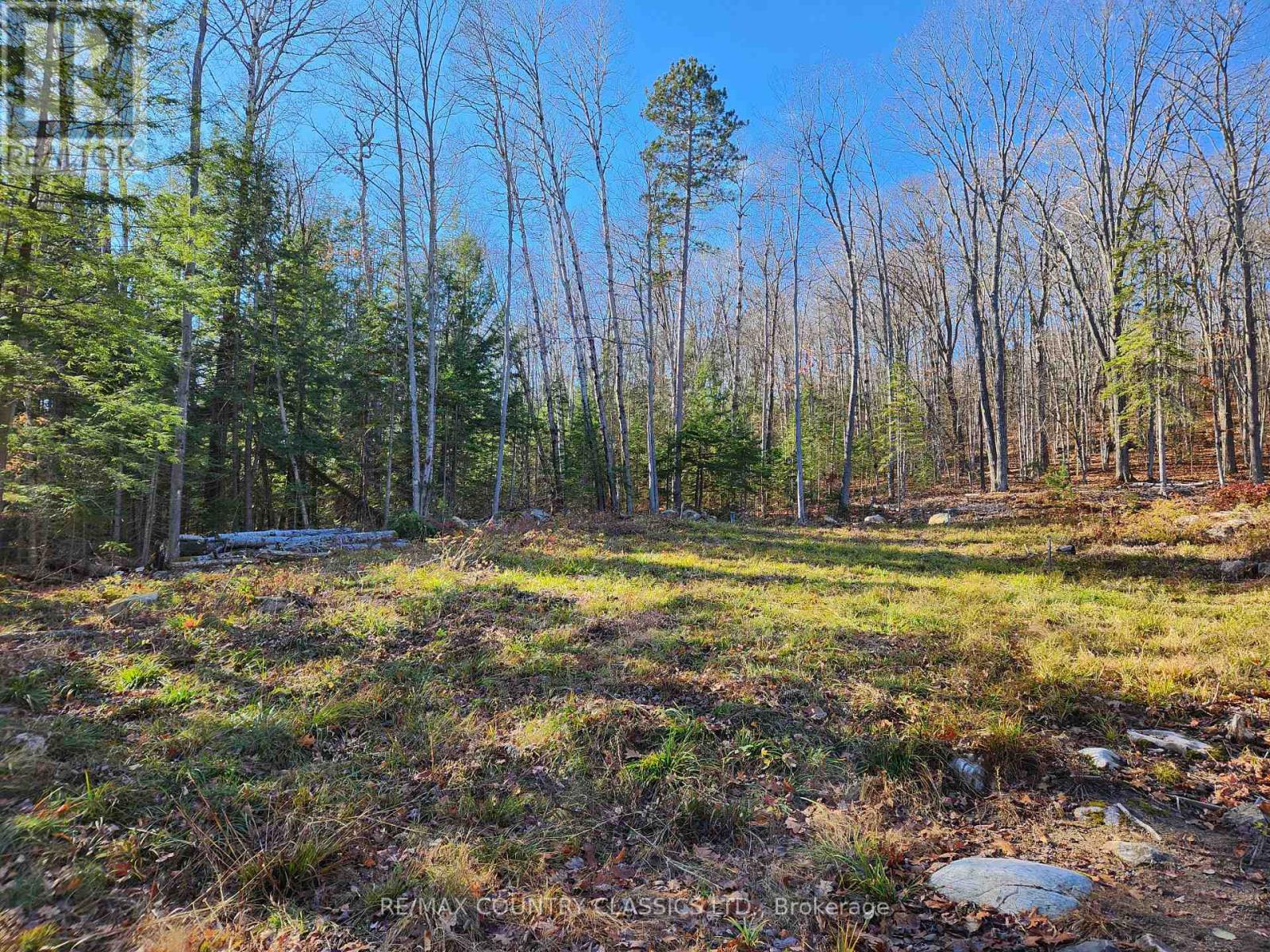 790 Mitchell Road, Madawaska Valley, Ontario  K0J 1B0 - Photo 8 - X13411320