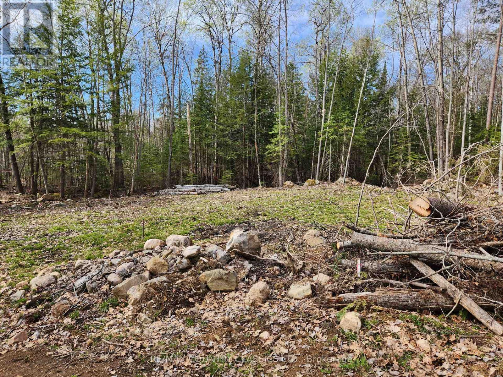 790 Mitchell Road, Madawaska Valley, Ontario  K0J 1B0 - Photo 9 - X13411320