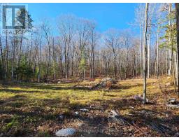 790 MITCHELL ROAD, Madawaska Valley, Ontario