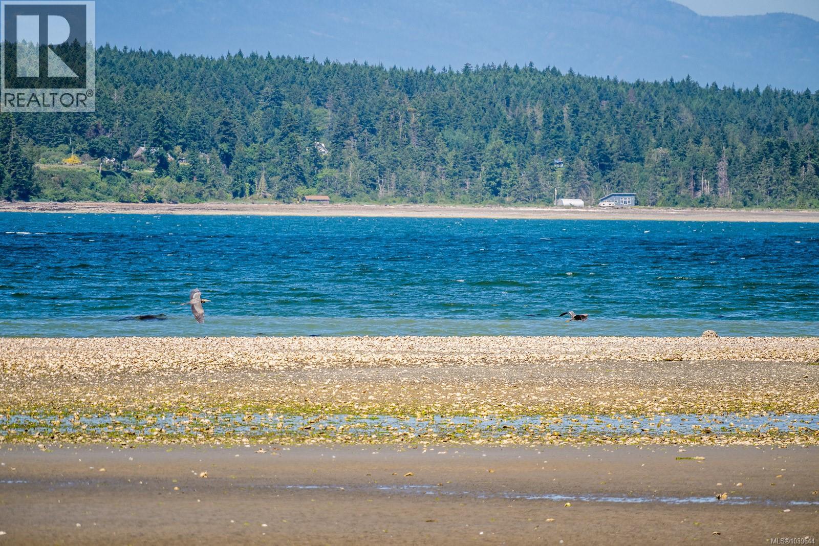 3845 Shingle Spit Rd, Hornby Island, British Columbia  V0R 1Z0 - Photo 28 - 1039644