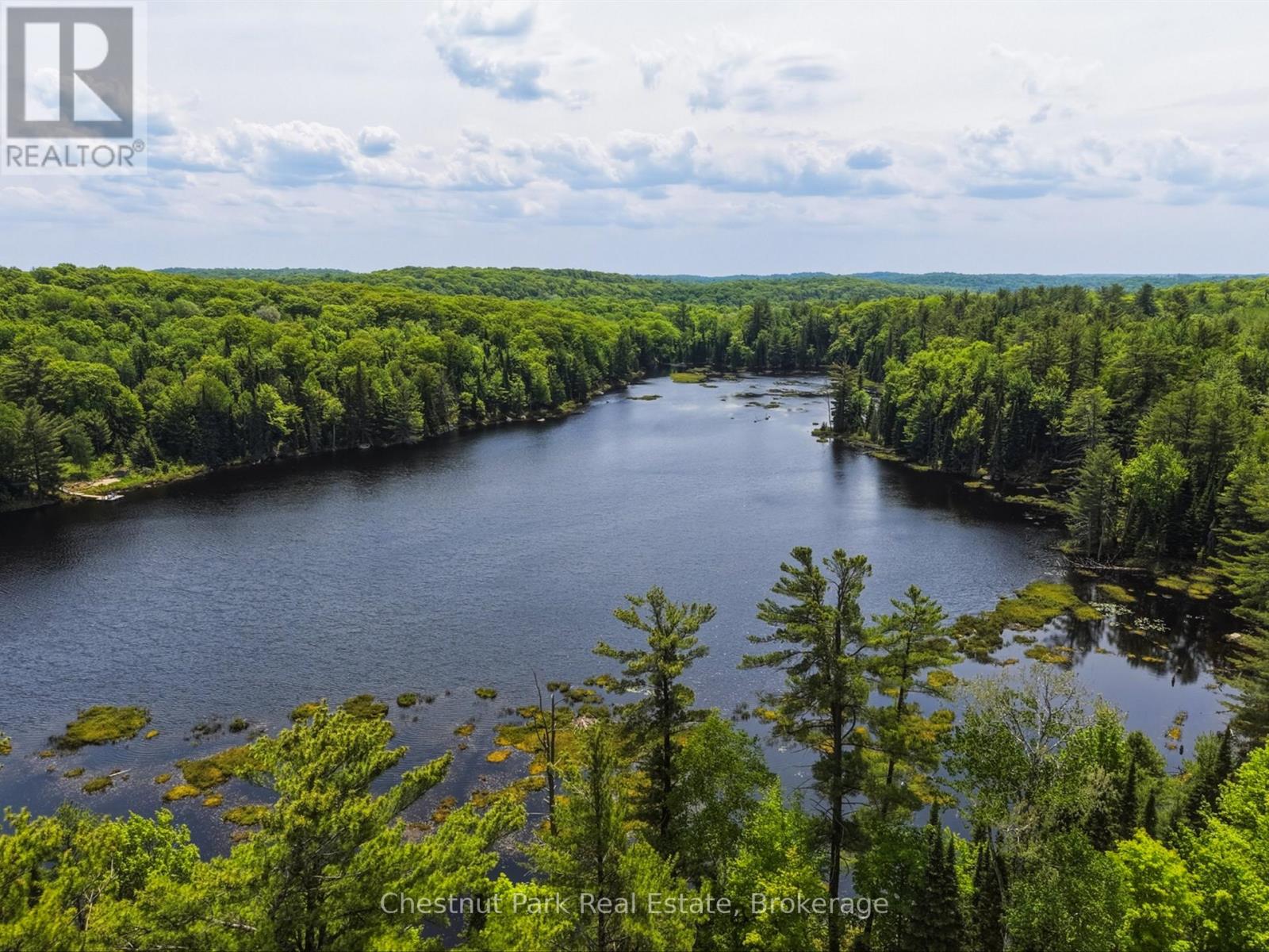 1045 North Pine Drive, Lake Of Bays, Ontario  P0B 1A0 - Photo 10 - X13411428