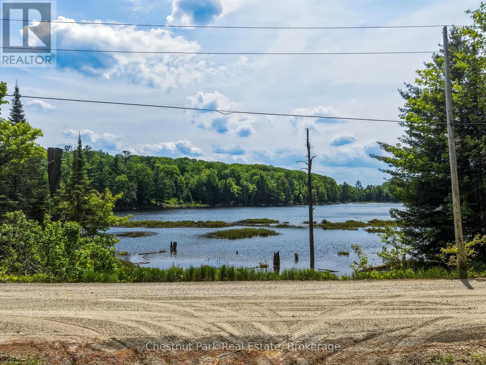 1045 North Pine Drive, Lake Of Bays, Ontario  P0B 1A0 - Photo 11 - X13411428