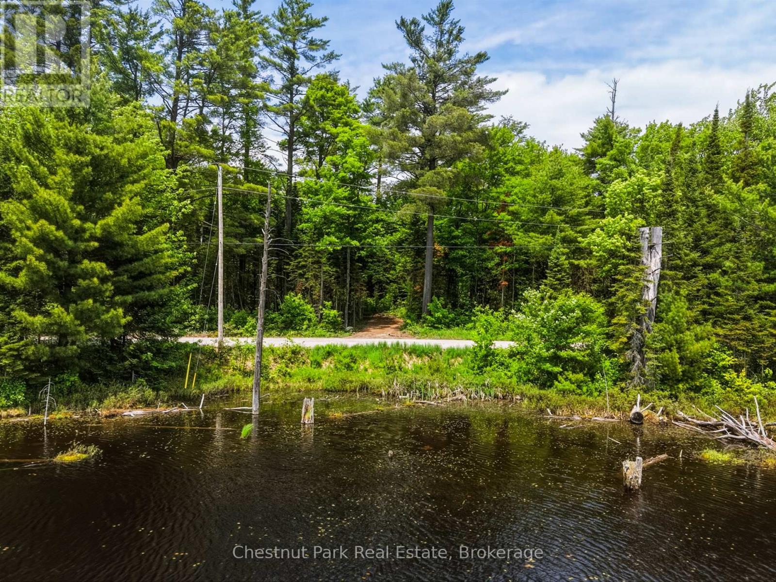 1045 North Pine Drive, Lake Of Bays, Ontario  P0B 1A0 - Photo 12 - X13411428