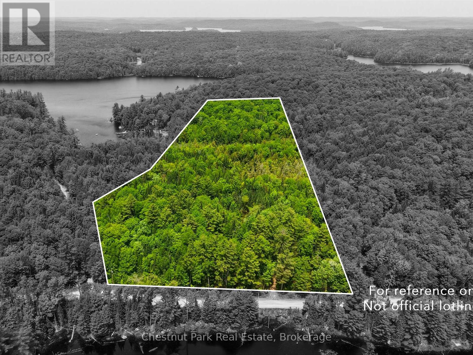 1045 North Pine Drive, Lake Of Bays, Ontario  P0B 1A0 - Photo 3 - X13411428