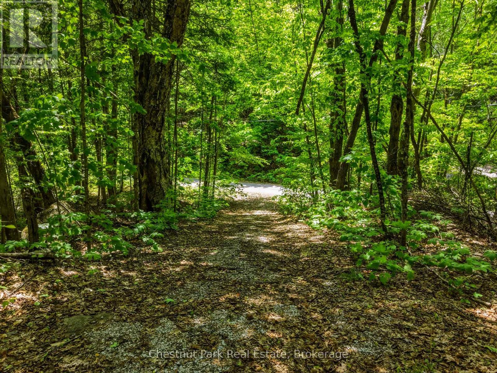 1045 North Pine Drive, Lake Of Bays, Ontario  P0B 1A0 - Photo 4 - X13411428