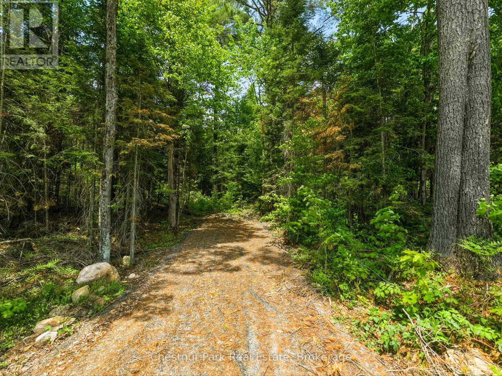 1045 North Pine Drive, Lake Of Bays, Ontario  P0B 1A0 - Photo 5 - X13411428