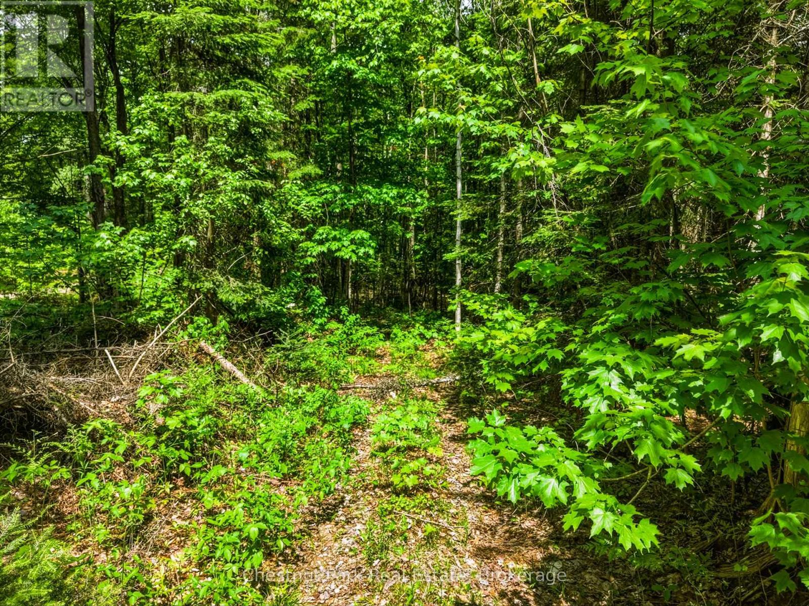 1045 North Pine Drive, Lake Of Bays, Ontario  P0B 1A0 - Photo 6 - X13411428