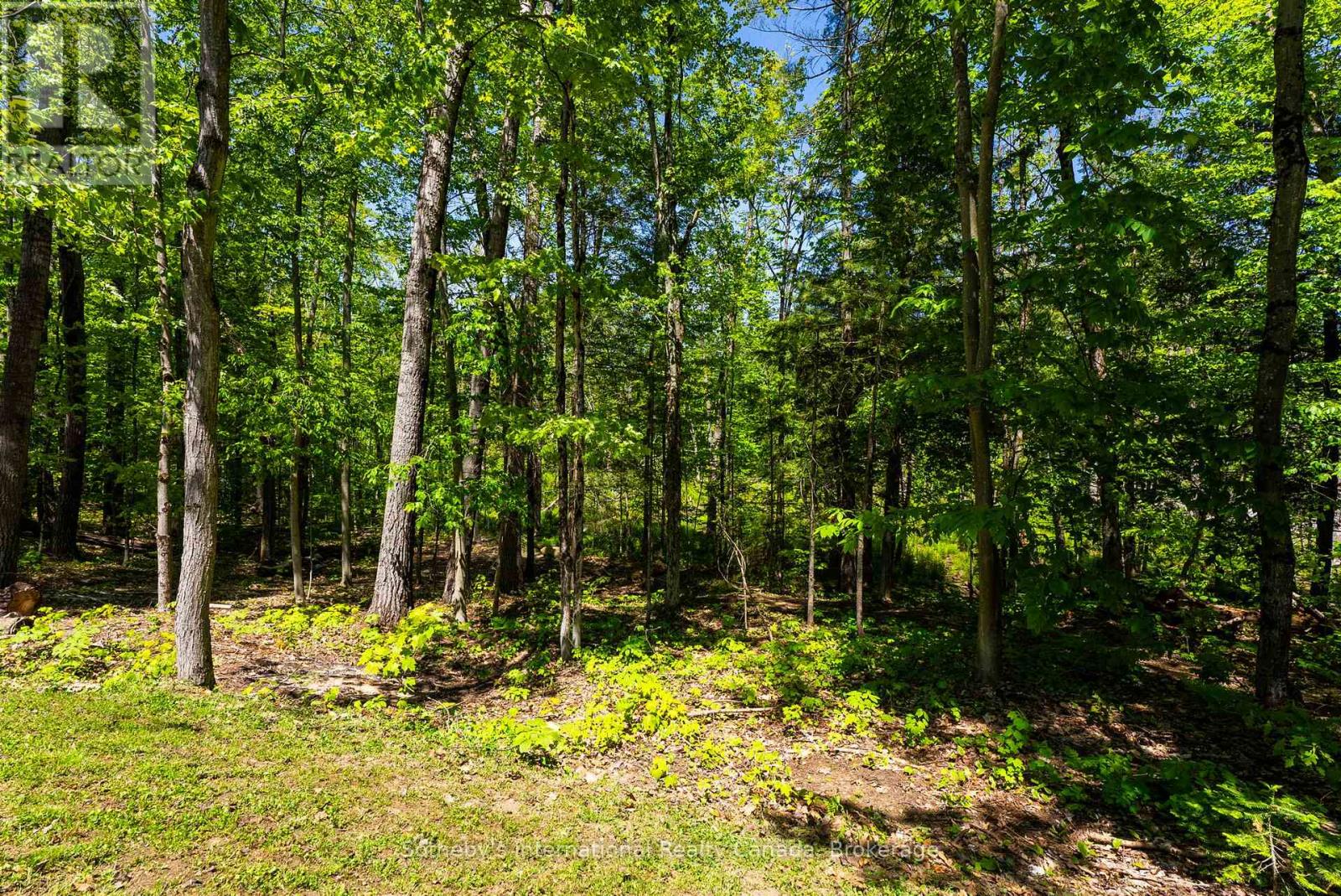 2074 Muskoka 169 Road, Gravenhurst, Ontario  P1P 1R1 - Photo 37 - X13411476