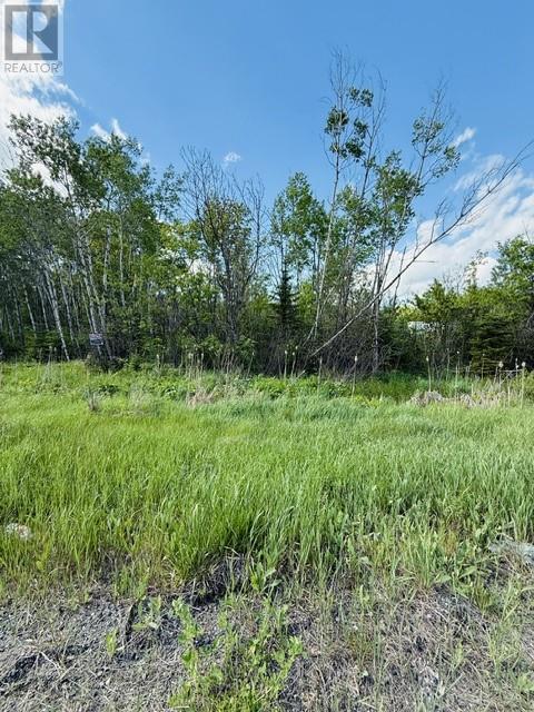0 Highway 17 - Pin 314210954, Spanish, Ontario  P0P 2A0 - Photo 4 - 2126969