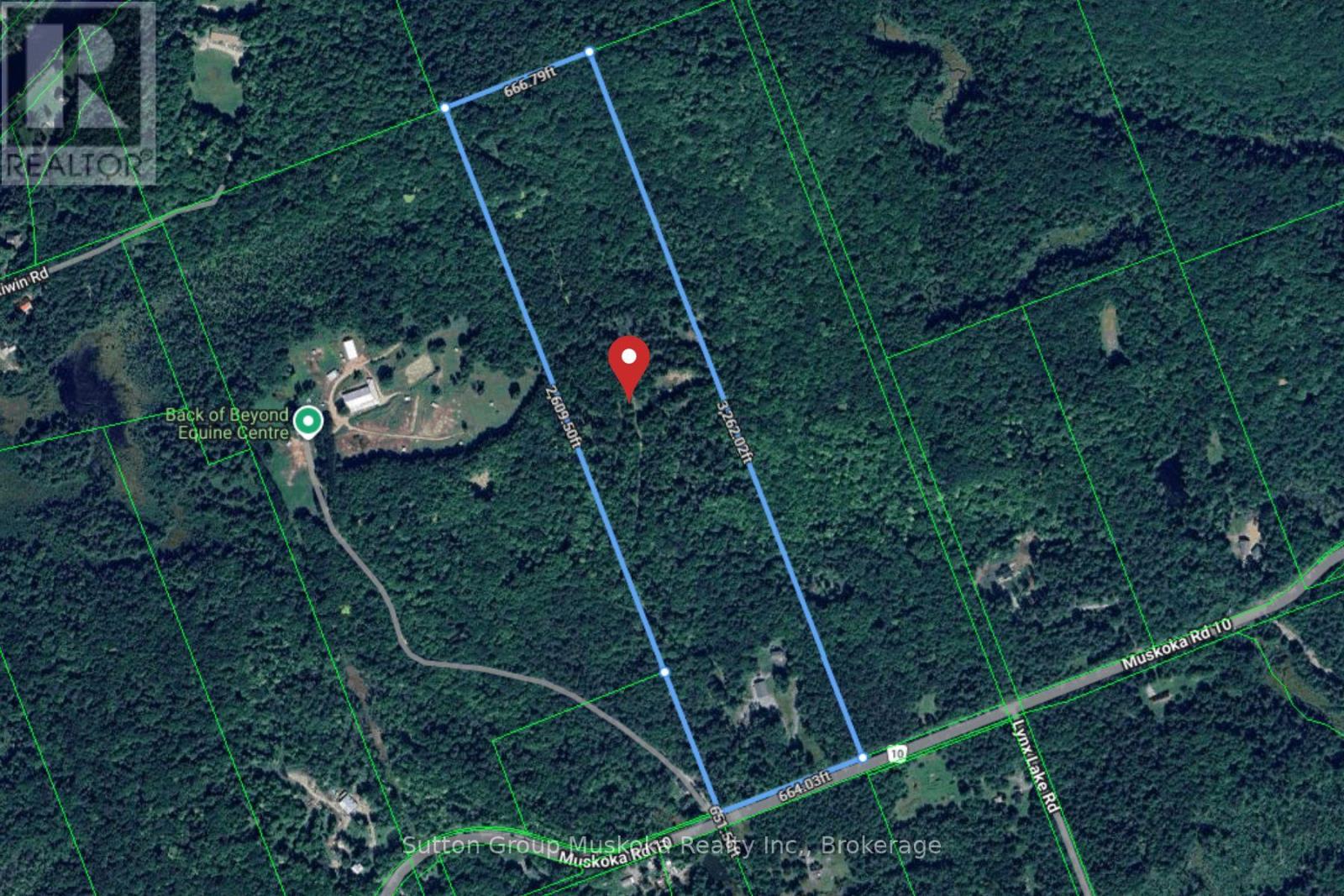 2602 Muskoka 10 Road, Huntsville, Ontario  P1H 2J3 - Photo 8 - X13411820