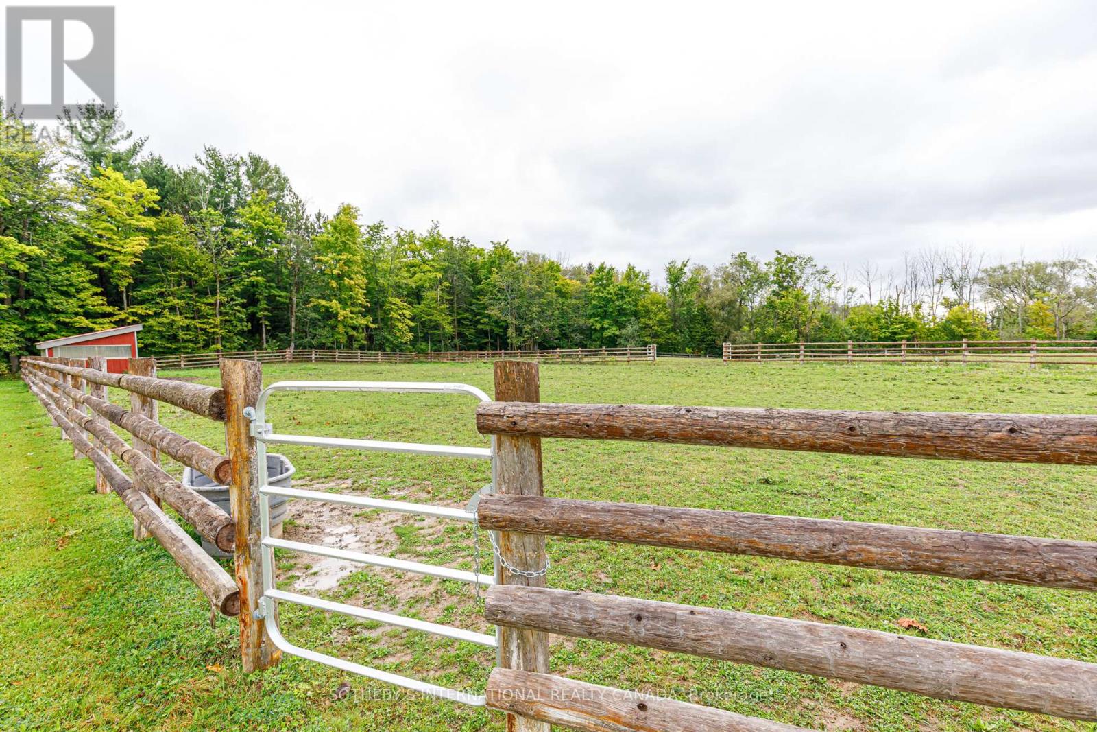 787517 Grey 13 Road, Blue Mountains, Ontario  N0H 2P0 - Photo 34 - X12641206