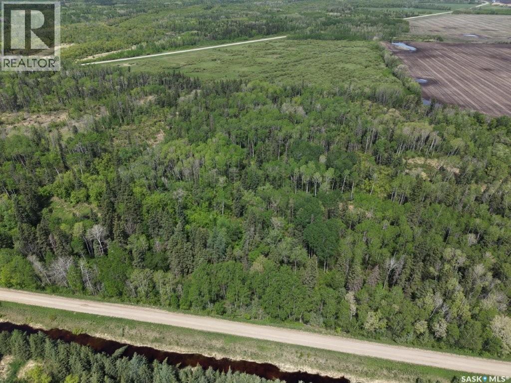 93 Acres Hwy#9 South, Hudson Bay Rm No. 394, Saskatchewan S0E 0Y0 - Photo 10 - SK038134