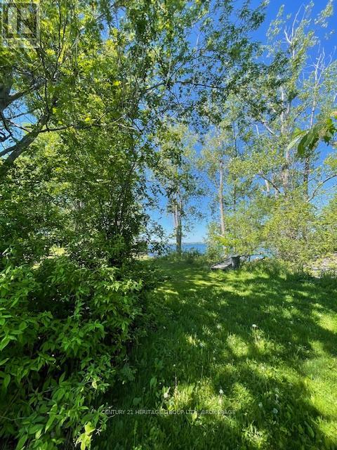 00 10th Line Road, Frontenac Islands, Ontario  K0H 2Y0 - Photo 3 - X13411898