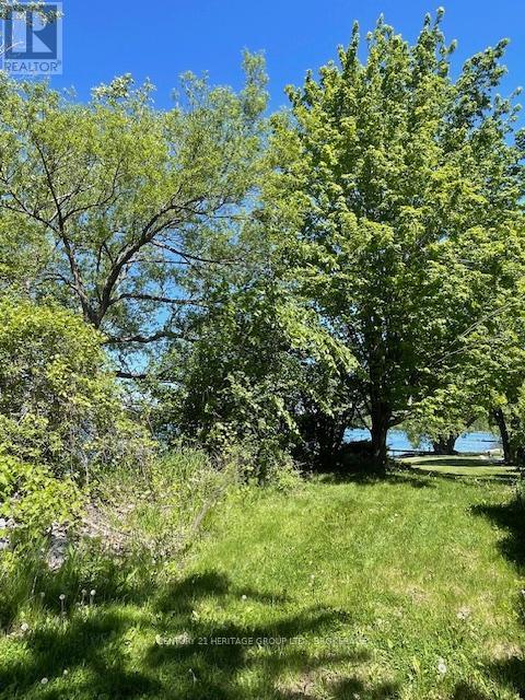 00 10th Line Road, Frontenac Islands, Ontario  K0H 2Y0 - Photo 7 - X13411898