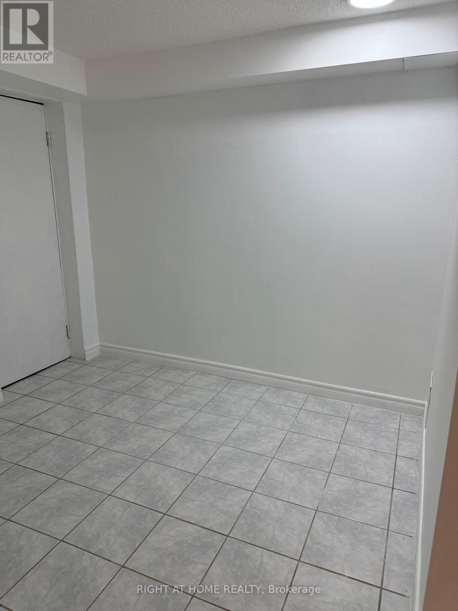 Basement - 259 Tall Grass Trail, Vaughan, Ontario  L4L 3P7 - Photo 10 - N13411892