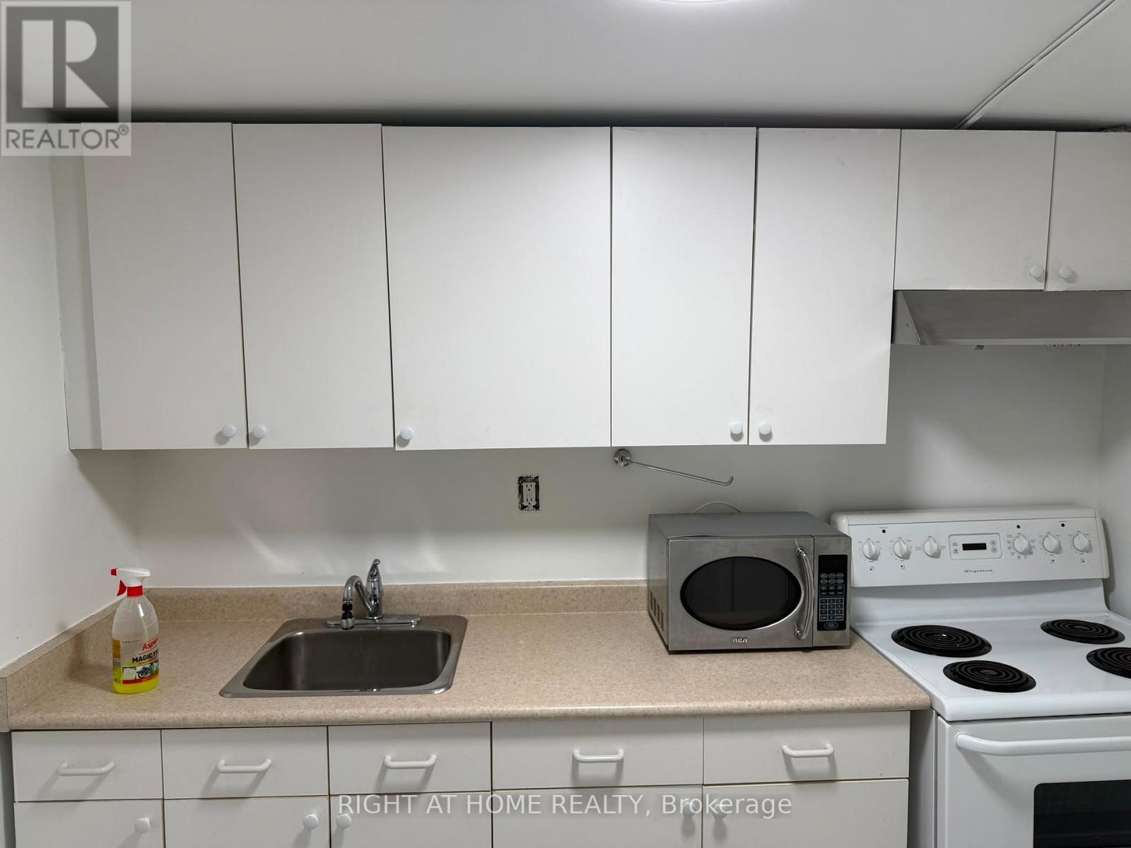 Basement - 259 Tall Grass Trail, Vaughan, Ontario  L4L 3P7 - Photo 13 - N13411892