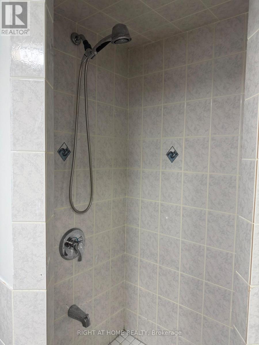 Basement - 259 Tall Grass Trail, Vaughan, Ontario  L4L 3P7 - Photo 14 - N13411892
