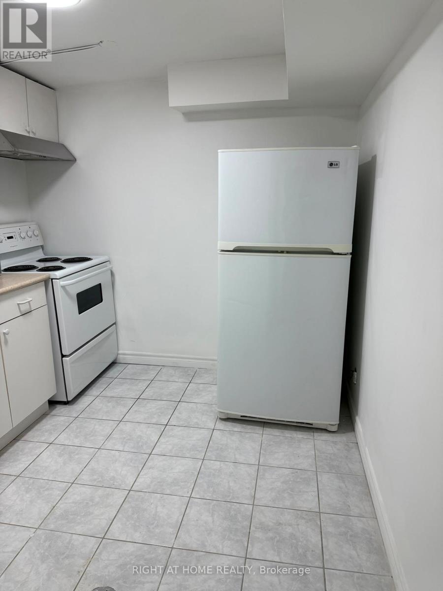 Basement - 259 Tall Grass Trail, Vaughan, Ontario  L4L 3P7 - Photo 2 - N13411892