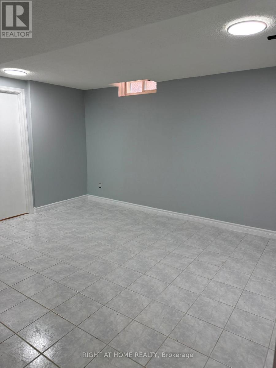 Basement - 259 Tall Grass Trail, Vaughan, Ontario  L4L 3P7 - Photo 5 - N13411892