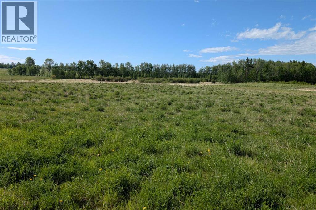 On Range Road 4-5, Rural Clearwater County, Alberta  T0M 0P0 - Photo 15 - A2316995