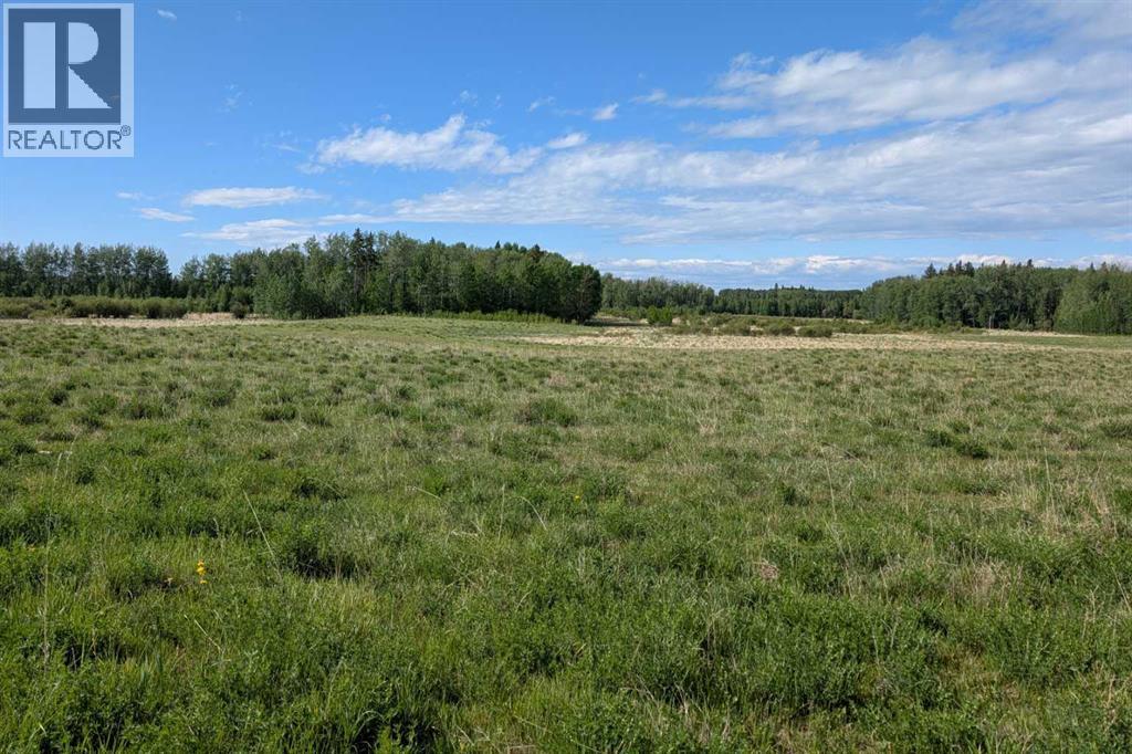 On Range Road 4-5, Rural Clearwater County, Alberta  T0M 0P0 - Photo 16 - A2316995