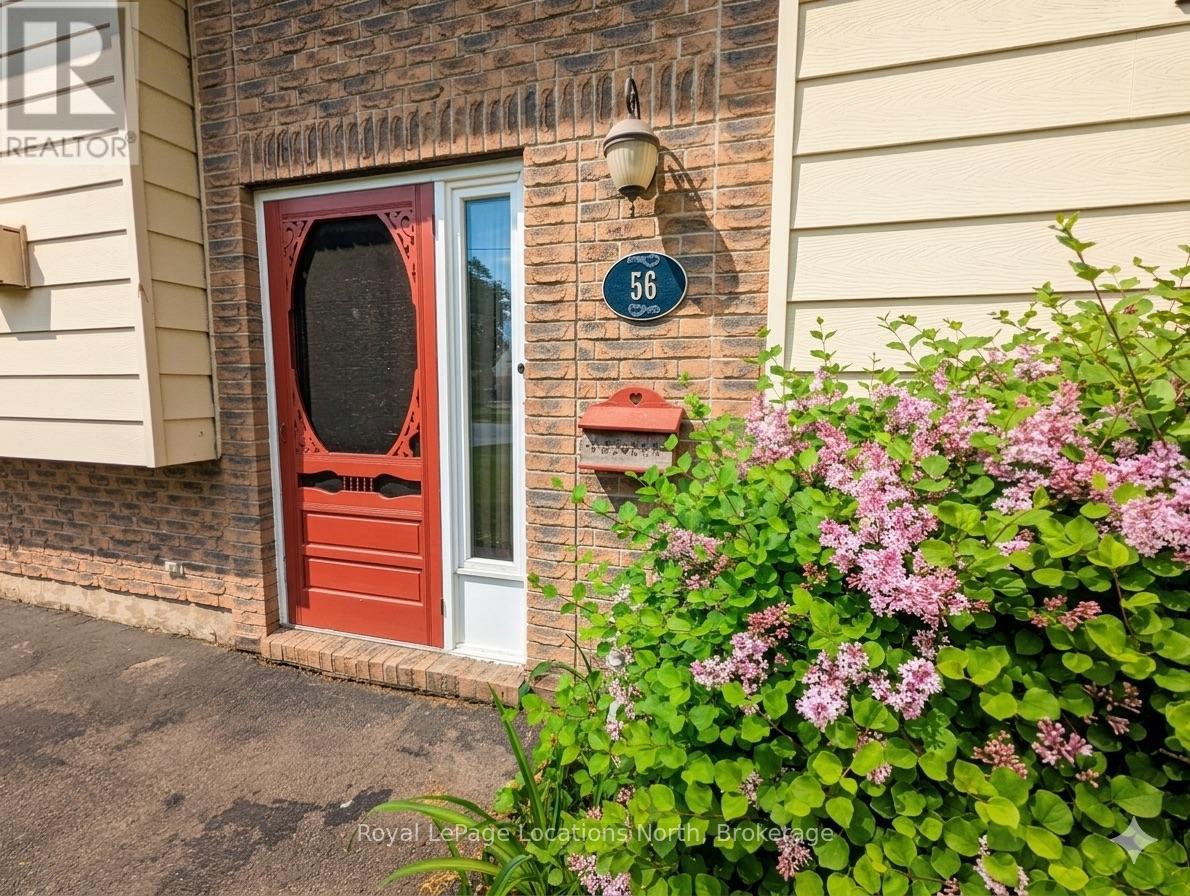 56 Lorne Avenue, Collingwood, Ontario  L9Y 2B7 - Photo 2 - S12890242