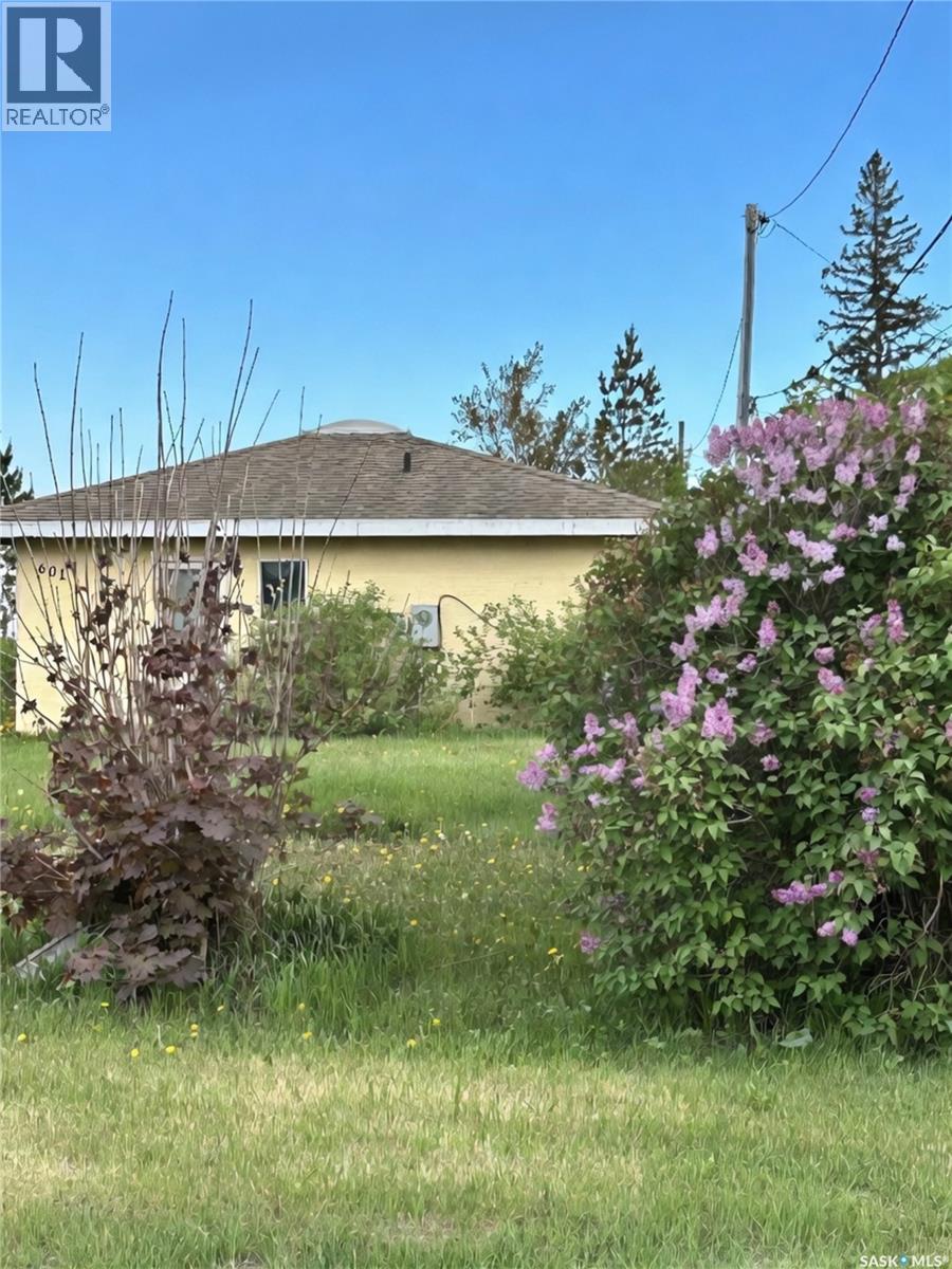 601 Colborne AVENUE, Viscount, Saskatchewan