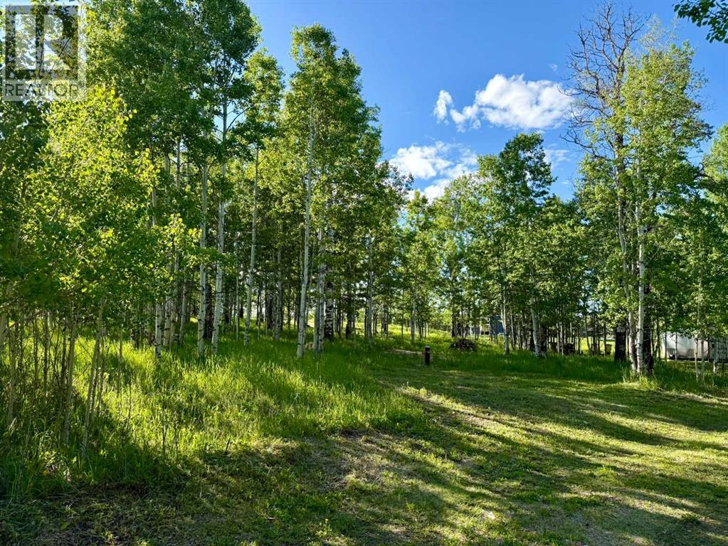 3, 5228 Highway 579, Rural Mountain View County, Alberta