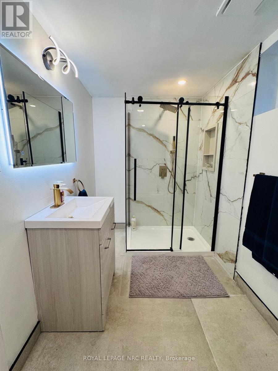 Basement - 170 Louth Street, St. Catharines, Ontario  L2S 2R3 - Photo 14 - X13412164